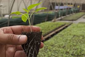 funding agriculture in Africa